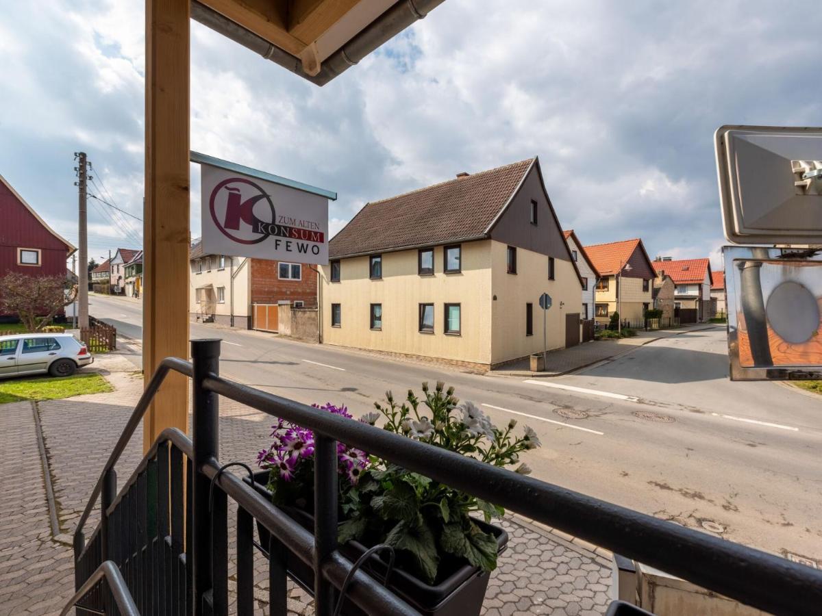 Bright Apartment In Harz Mountains Cattenstedt Buitenkant foto